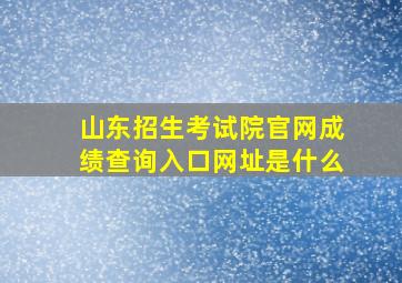 山东招生考试院官网成绩查询入口网址是什么