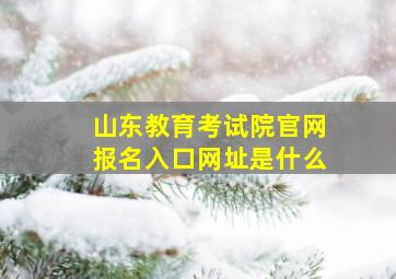 山东教育考试院官网报名入口网址是什么