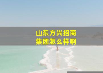 山东方兴招商集团怎么样啊