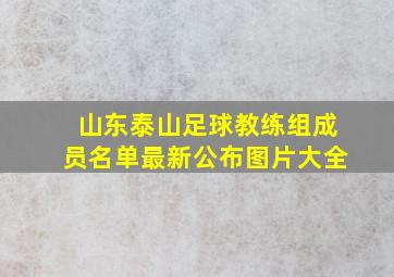 山东泰山足球教练组成员名单最新公布图片大全