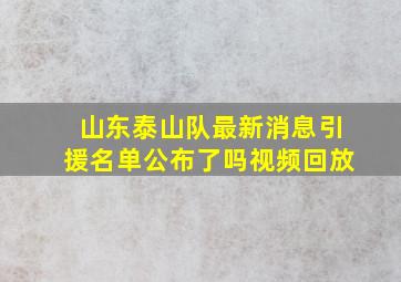 山东泰山队最新消息引援名单公布了吗视频回放