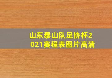 山东泰山队足协杯2021赛程表图片高清