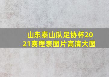 山东泰山队足协杯2021赛程表图片高清大图