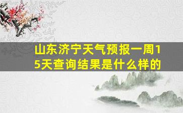 山东济宁天气预报一周15天查询结果是什么样的