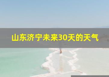 山东济宁未来30天的天气