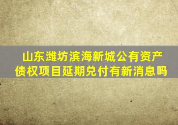 山东潍坊滨海新城公有资产债权项目延期兑付有新消息吗