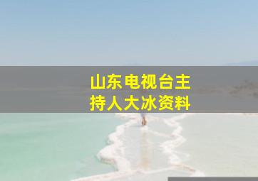 山东电视台主持人大冰资料