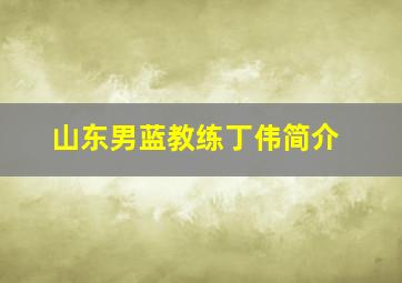 山东男蓝教练丁伟简介