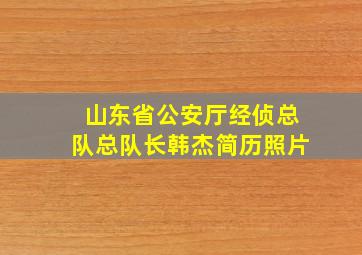 山东省公安厅经侦总队总队长韩杰简历照片