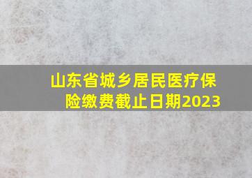 山东省城乡居民医疗保险缴费截止日期2023