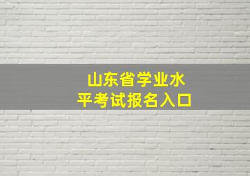 山东省学业水平考试报名入口