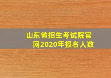 山东省招生考试院官网2020年报名人数