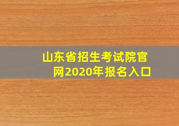 山东省招生考试院官网2020年报名入口