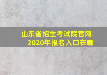 山东省招生考试院官网2020年报名入口在哪