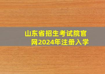 山东省招生考试院官网2024年注册入学