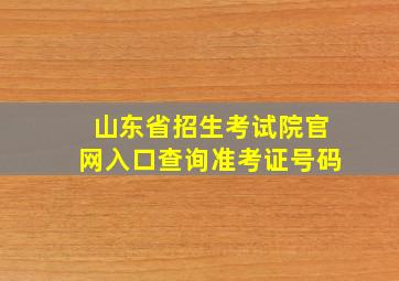 山东省招生考试院官网入口查询准考证号码