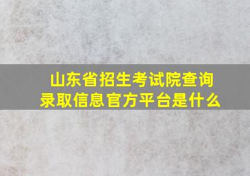 山东省招生考试院查询录取信息官方平台是什么