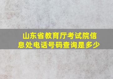 山东省教育厅考试院信息处电话号码查询是多少