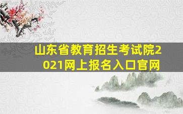 山东省教育招生考试院2021网上报名入口官网