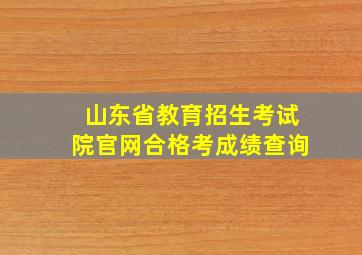 山东省教育招生考试院官网合格考成绩查询