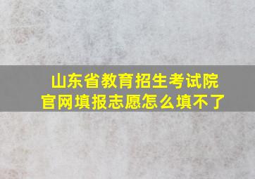 山东省教育招生考试院官网填报志愿怎么填不了