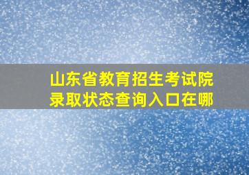 山东省教育招生考试院录取状态查询入口在哪