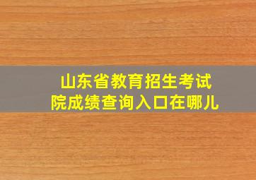 山东省教育招生考试院成绩查询入口在哪儿