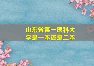 山东省第一医科大学是一本还是二本