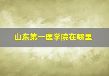 山东第一医学院在哪里