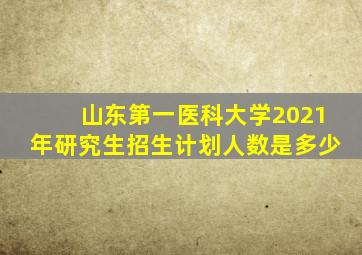 山东第一医科大学2021年研究生招生计划人数是多少