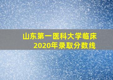 山东第一医科大学临床2020年录取分数线