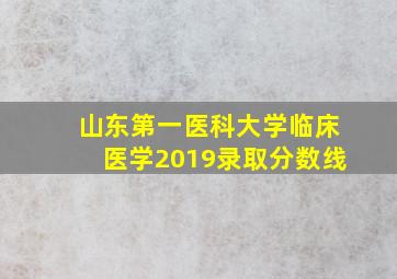 山东第一医科大学临床医学2019录取分数线