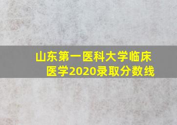 山东第一医科大学临床医学2020录取分数线