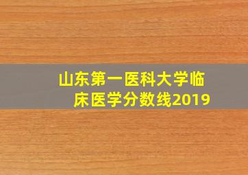 山东第一医科大学临床医学分数线2019