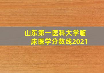 山东第一医科大学临床医学分数线2021