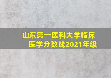 山东第一医科大学临床医学分数线2021年级