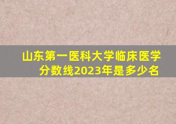 山东第一医科大学临床医学分数线2023年是多少名