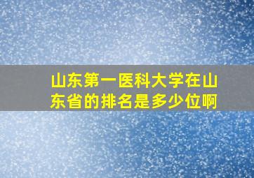 山东第一医科大学在山东省的排名是多少位啊