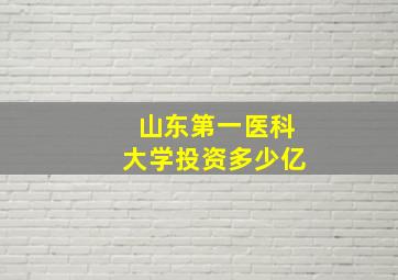 山东第一医科大学投资多少亿