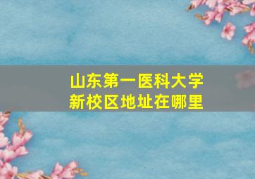 山东第一医科大学新校区地址在哪里