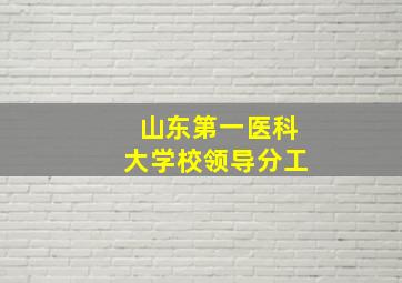 山东第一医科大学校领导分工