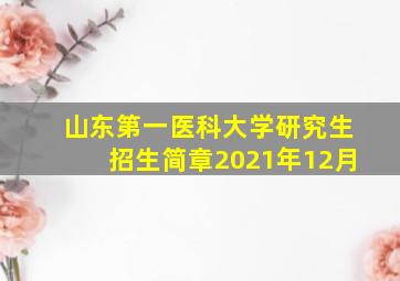 山东第一医科大学研究生招生简章2021年12月