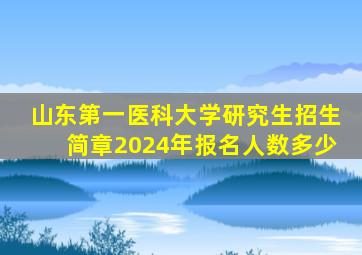 山东第一医科大学研究生招生简章2024年报名人数多少