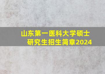 山东第一医科大学硕士研究生招生简章2024