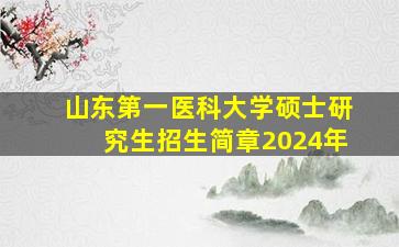 山东第一医科大学硕士研究生招生简章2024年