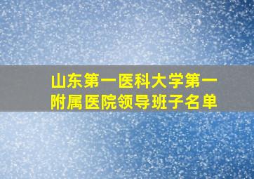 山东第一医科大学第一附属医院领导班子名单