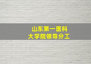 山东第一医科大学院领导分工