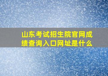 山东考试招生院官网成绩查询入口网址是什么