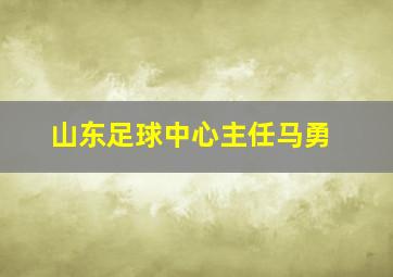 山东足球中心主任马勇