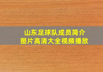 山东足球队成员简介图片高清大全视频播放